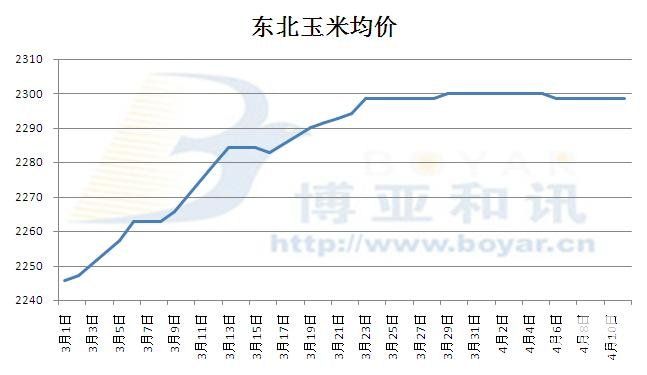 玉米价格最新行情走势解析