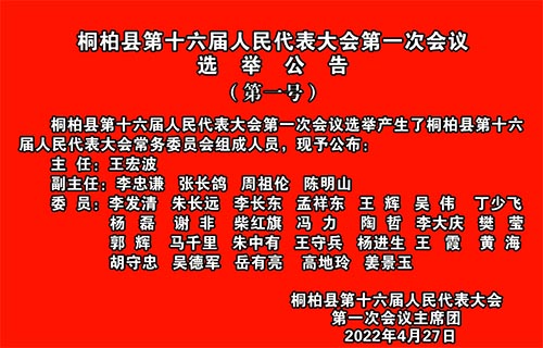 桐柏县剧团人事重塑，团队力量展望崭新未来