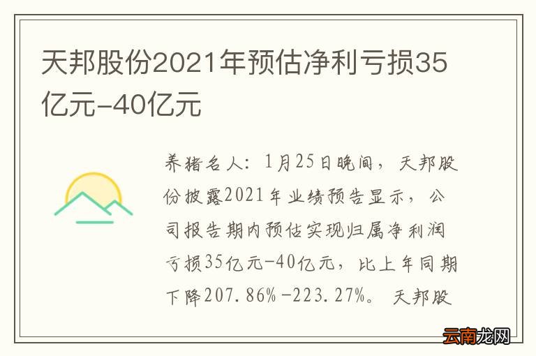 天邦股份最新消息全面解读与分析