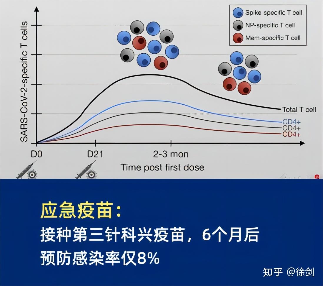 科兴疫苗问题最新官方通告,全面数据应用分析_高级款64.567