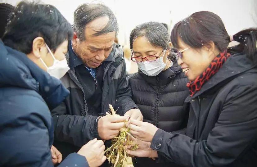 故城县科技局等新闻热点报道速递