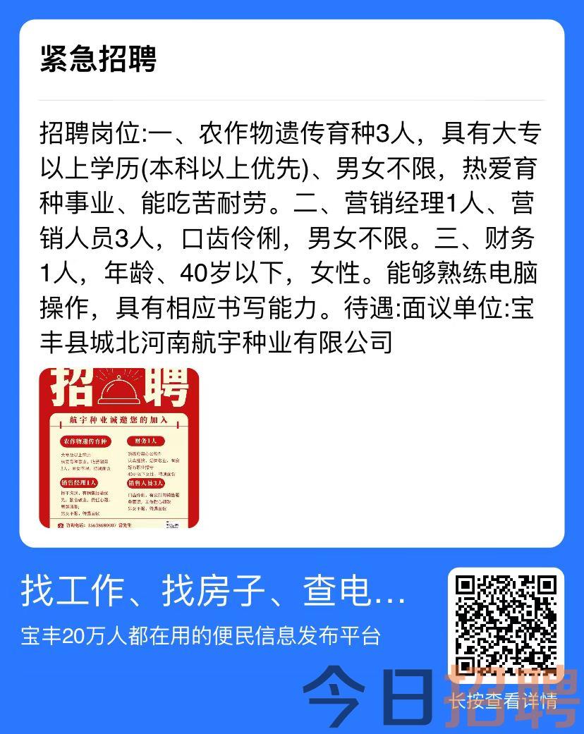 平舆在线最新招聘信息全面汇总