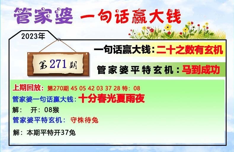 管家婆精准一肖一码100%,诠释说明解析_WP77.996