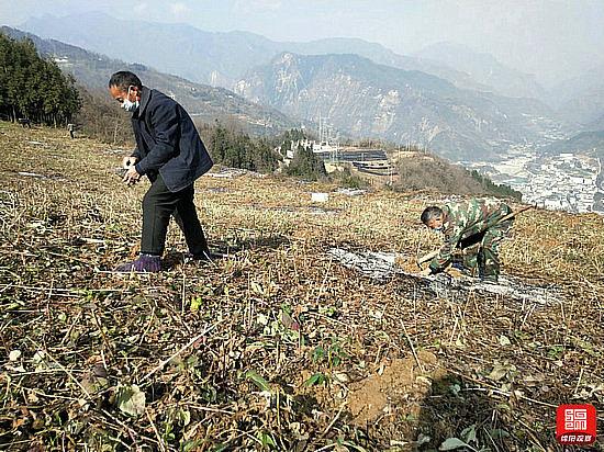 北川羌族自治县防疫检疫站最新招聘与职业前景展望