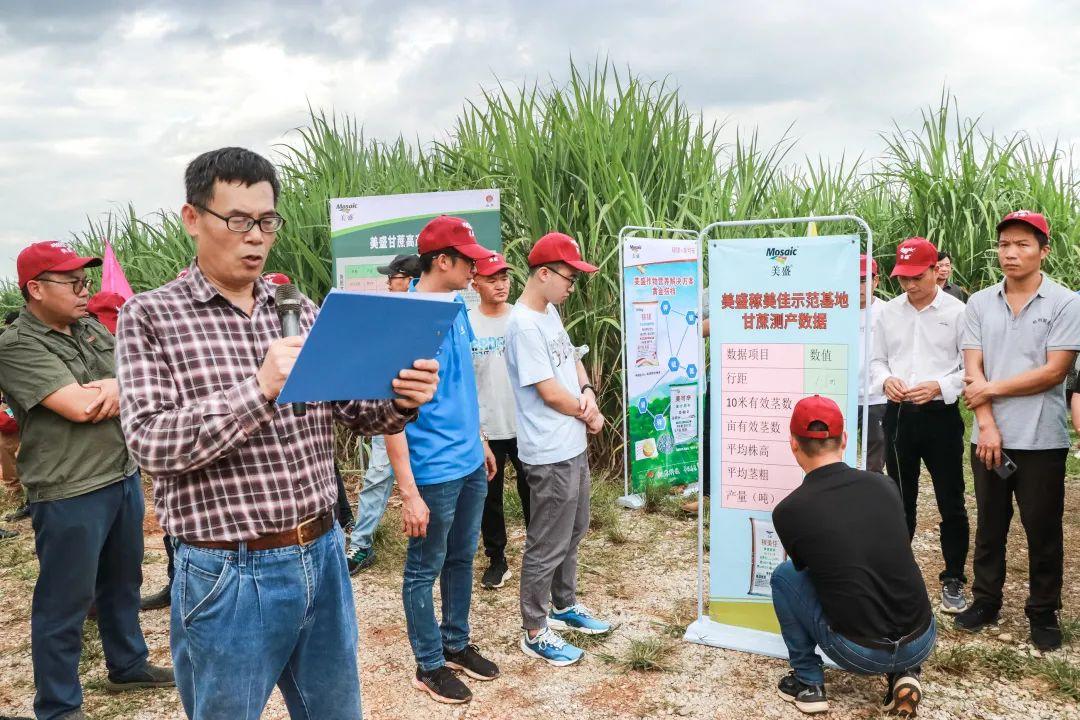 宾阳县科技局人事任命揭晓，全力推动科技创新与发展新篇章