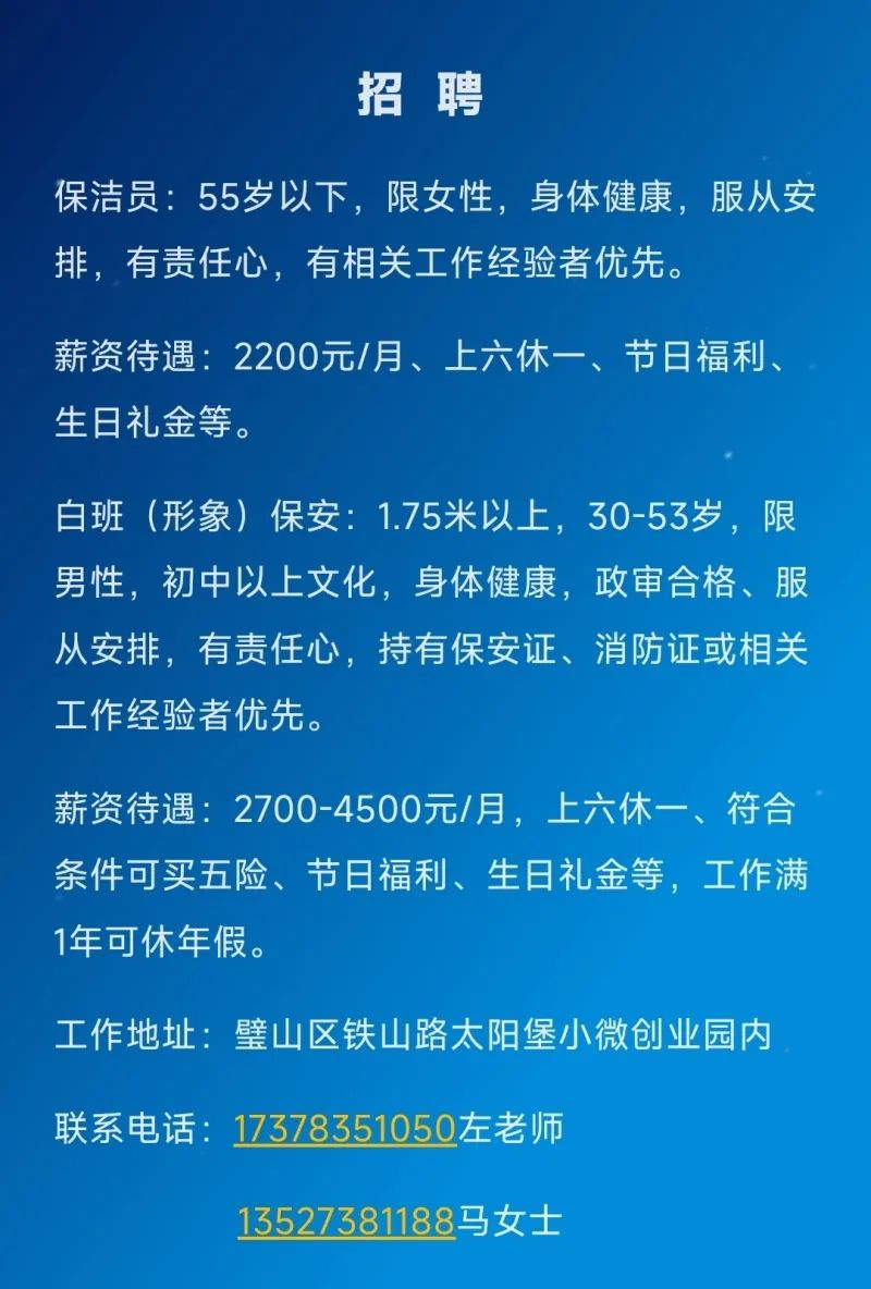 璧山招聘网最新招聘动态深度解析与解读