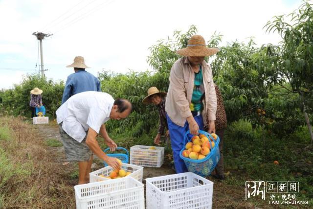 台风最新动态，密切关注动向，加强防范措施