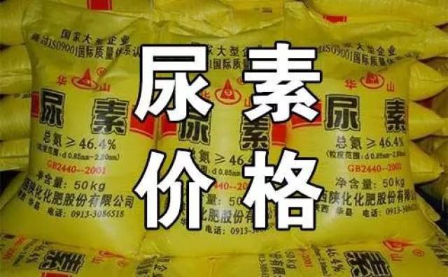 最新尿素价格走势动态分析