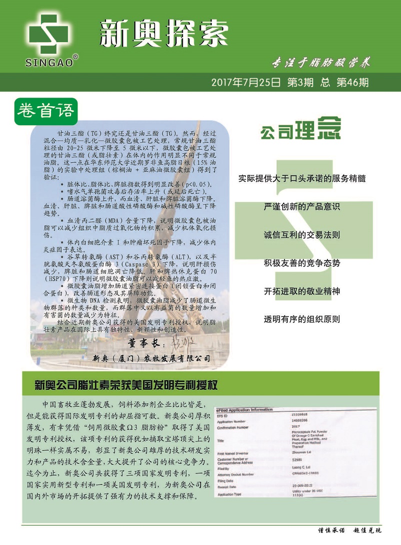 新奥天天免费资料单双,高效方案实施设计_PalmOS21.927