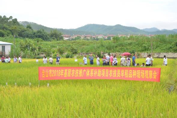 繁昌县农业农村局新项目推动农业现代化助力乡村振兴