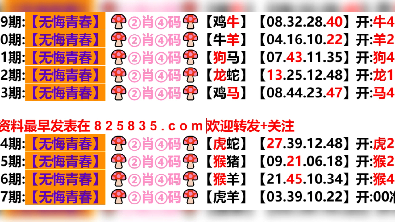 新奥门六开奖结果2024开奖记录,国产化作答解释落实_精简版105.220