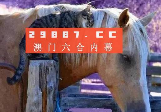 澳门六和免费资料查询,经典解释定义_领航款19.944