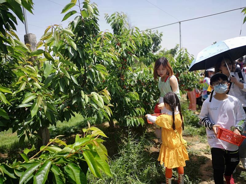 大荔县防疫检疫站新任领导概况