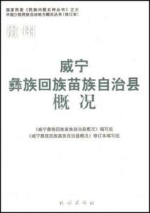 威宁彝族回族苗族自治县文化局招聘信息与工作机会探索