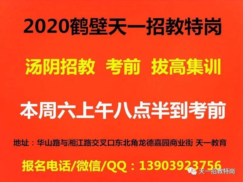 2024年12月20日 第8页