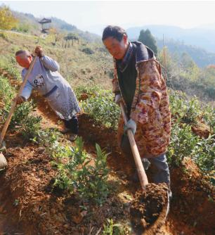 青川县科技局领导团队最新概述