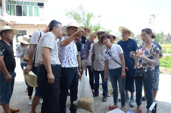 梁平县统计局最新招聘概览