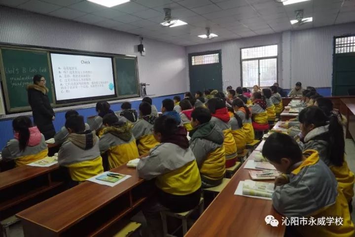 利辛县小学新领导团队，引领未来教育的新力量标杆