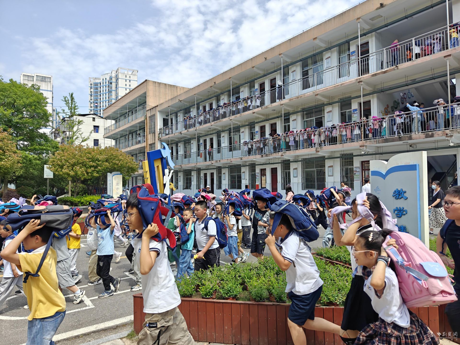 汉南区小学最新动态报道