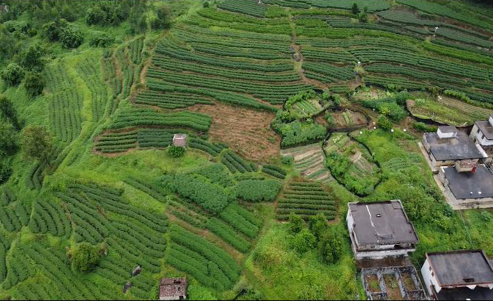 朱家涧村民委员会天气预报更新通知