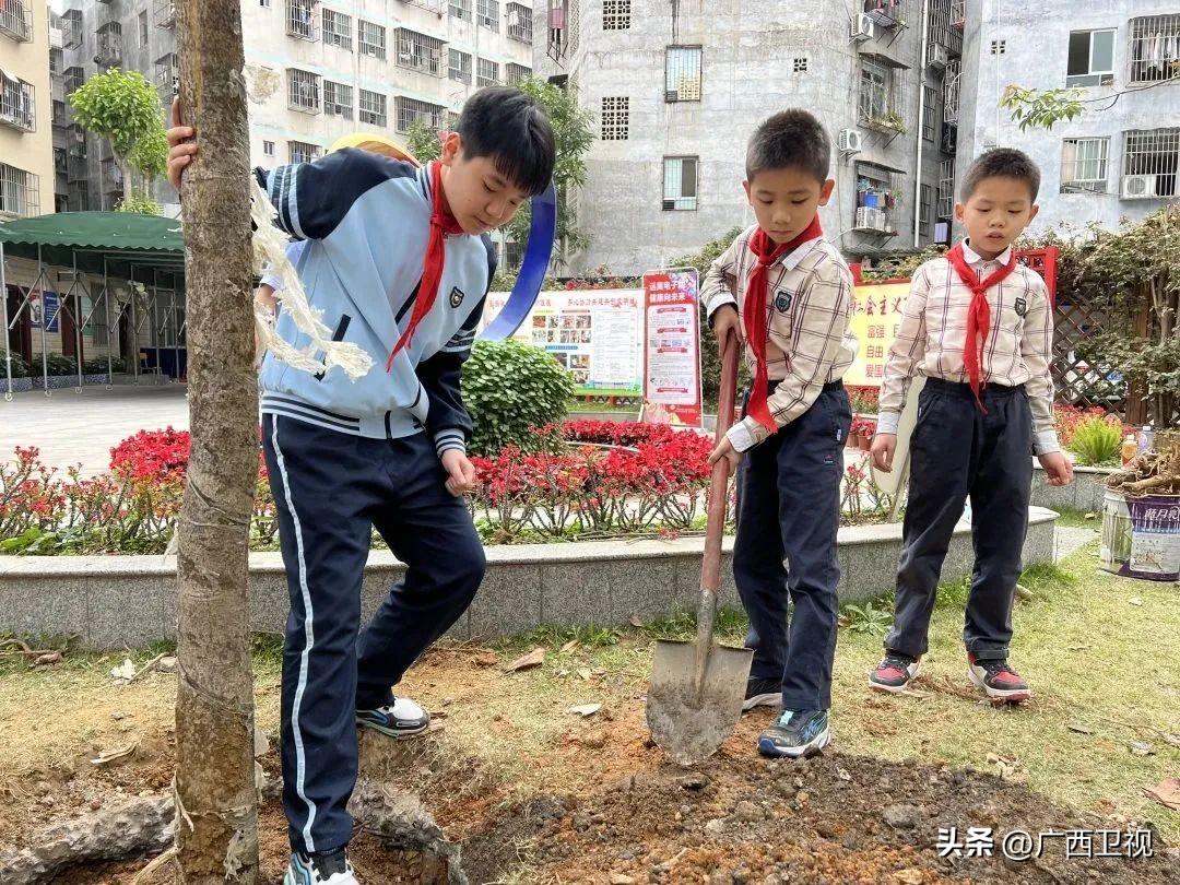 青秀区小学最新动态报道