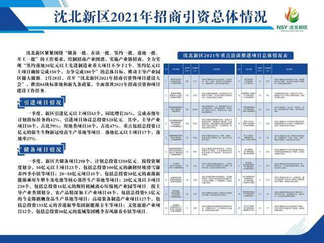 沈北新区数据和政务服务局最新项目进展报告，最新动态与成果展示