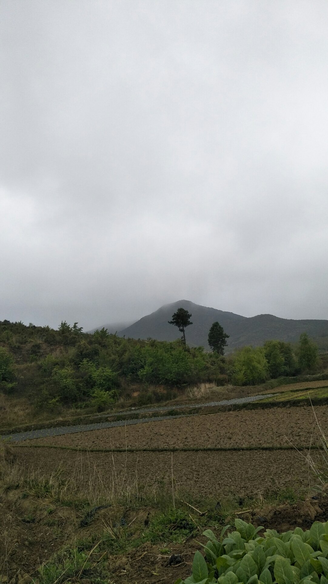 豪山乡天气预报更新通知