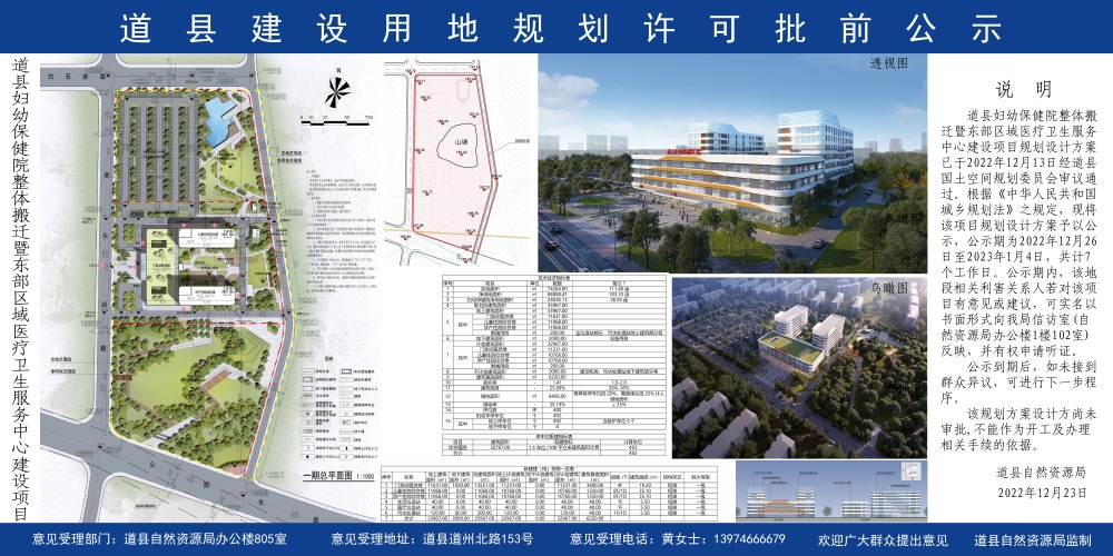 浔阳区数据与政务服务局发展规划深度解析