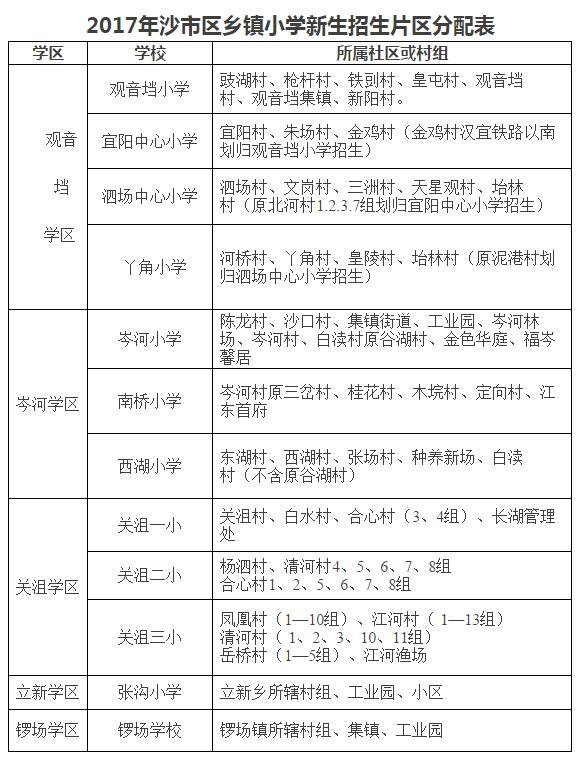 沙市区初中教育创新引领未来，最新新闻综述