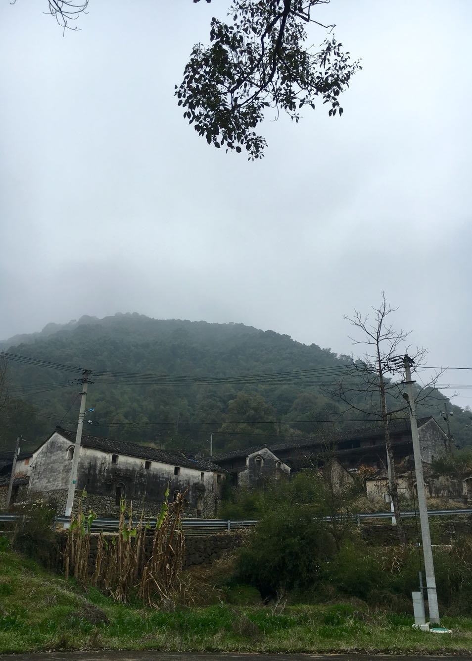 马畈镇天气预报更新通知