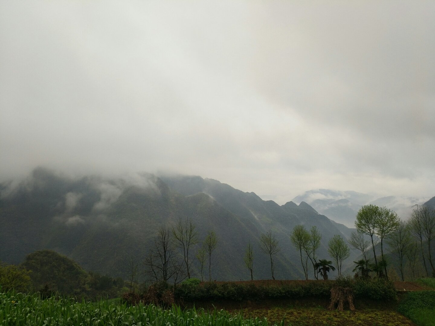 长坪乡最新天气预报