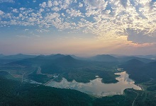 大浪街道天气预报最新详解