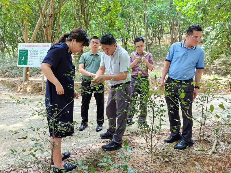 南海农林场领导引领转型升级新征程